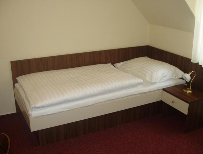 Hotel Altenberg Staré Hory Quarto foto