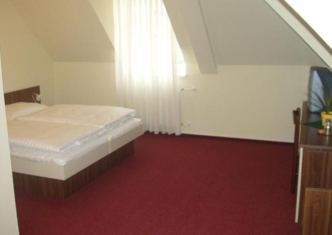Hotel Altenberg Staré Hory Quarto foto